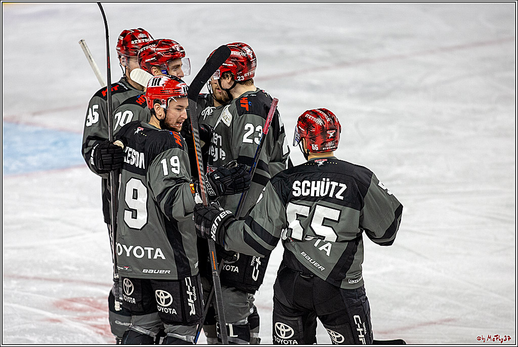 DEL; Koelner Haie - Straubing Tigers, 02.12.2018